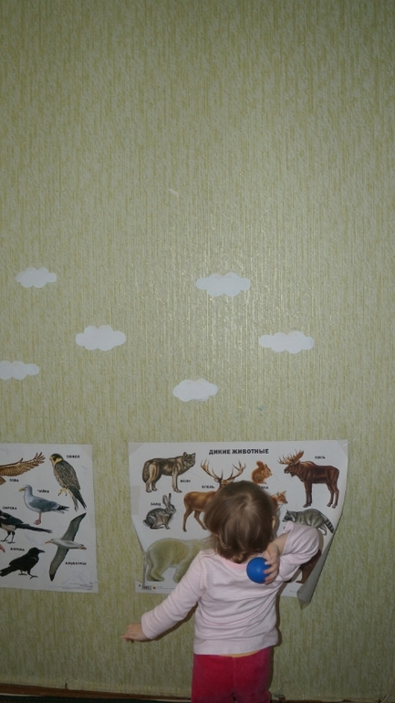 ТЗ " По дороге с облаками"