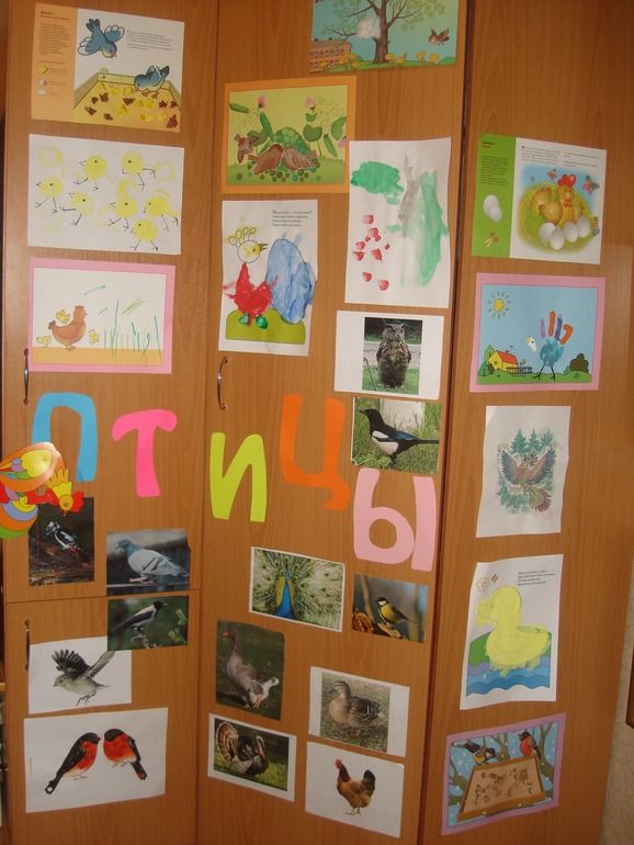 ТН Птицы Лесные и экзотические