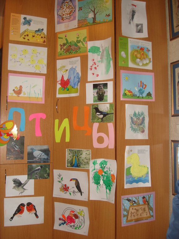 ТН Птицы Лесные и экзотические