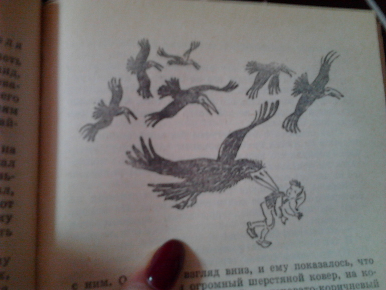 Чудесное путешествие Нильса с дикими гусями ^____^