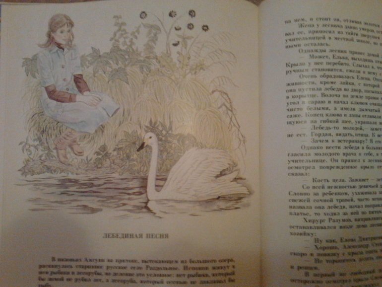 Очередная порция