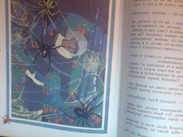 Мое пополнение