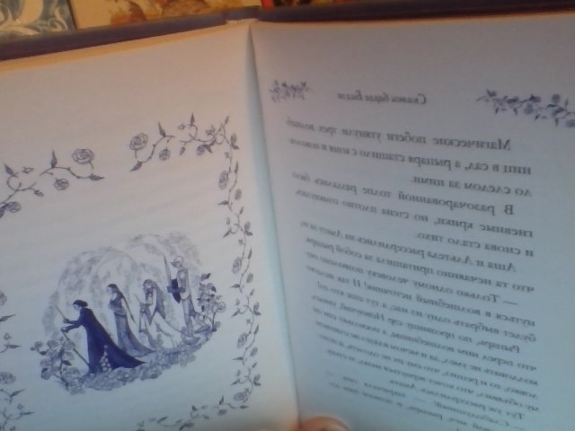 Мое пополнение