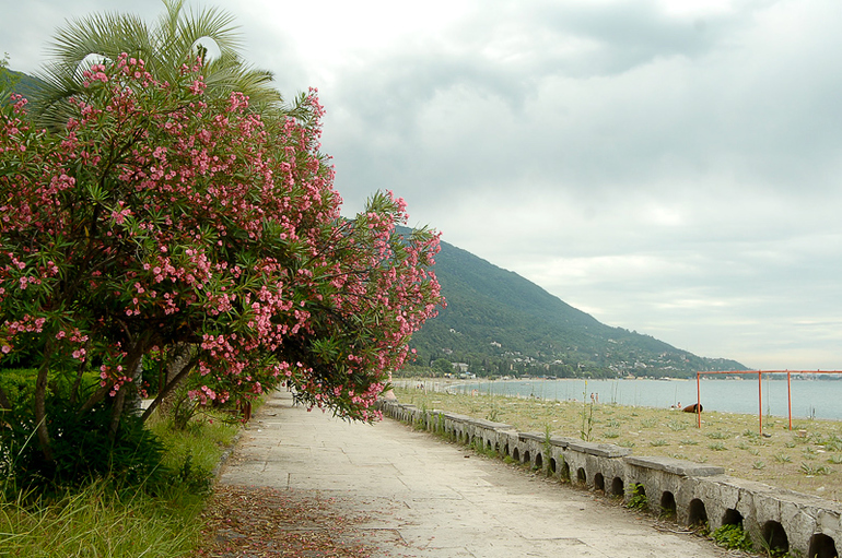 Сказочная Абхазия, Гагра, лето 2012. (часть 1)