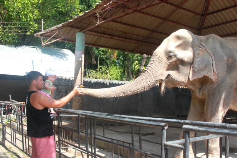 Zoo