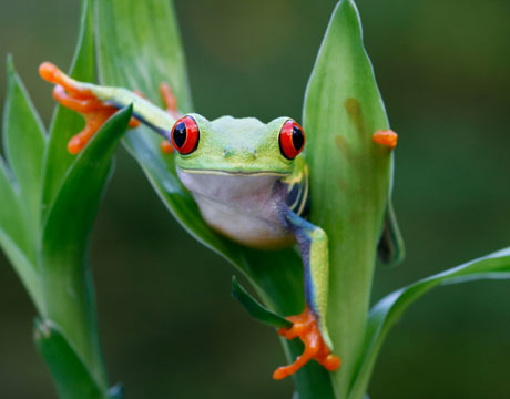 Приманочки для наших пернатых!!!)
