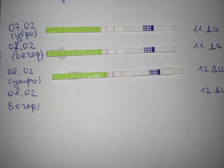 График БТ и О. Что не так?(