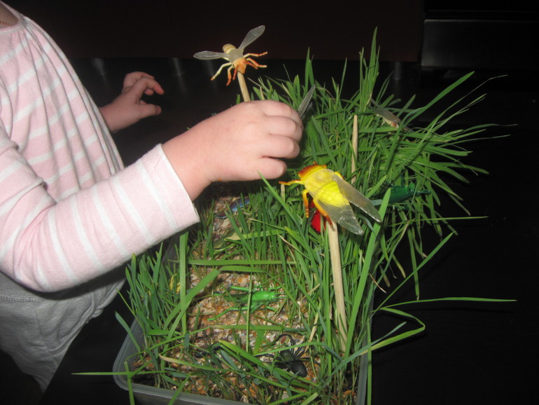 Вариант коробочки для ТН "Насекомые"