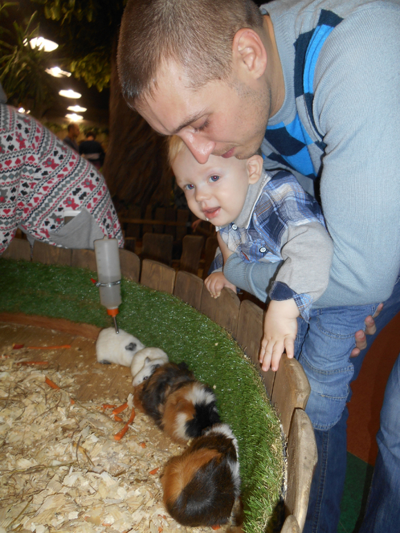 Лесное посольство)))