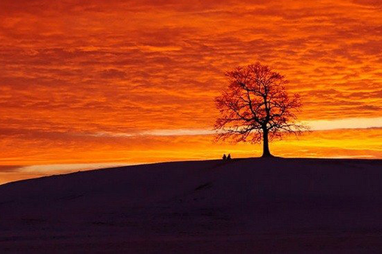 Контрольное задание № 9. Использование масок слоев.