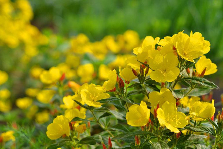 Контрольное задание № 16. Увеличение насыщенности