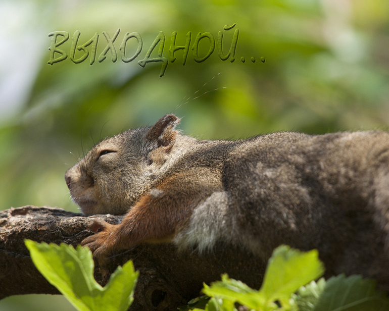 Контрольное задание № 12. Имитируем объём и глубину