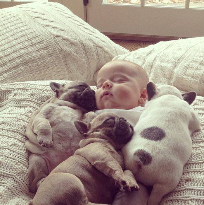 Улыбнуло...))