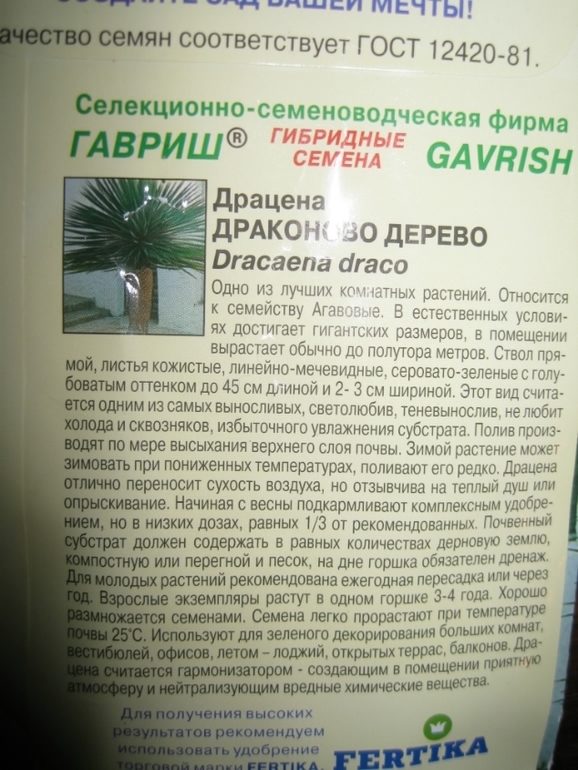 как сажать,где покупать,что посоветуете по посадке?