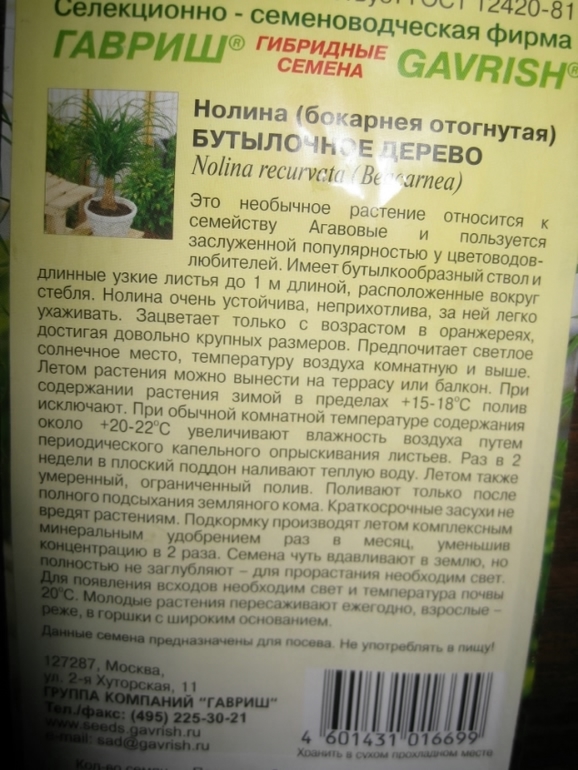 как сажать,где покупать,что посоветуете по посадке?