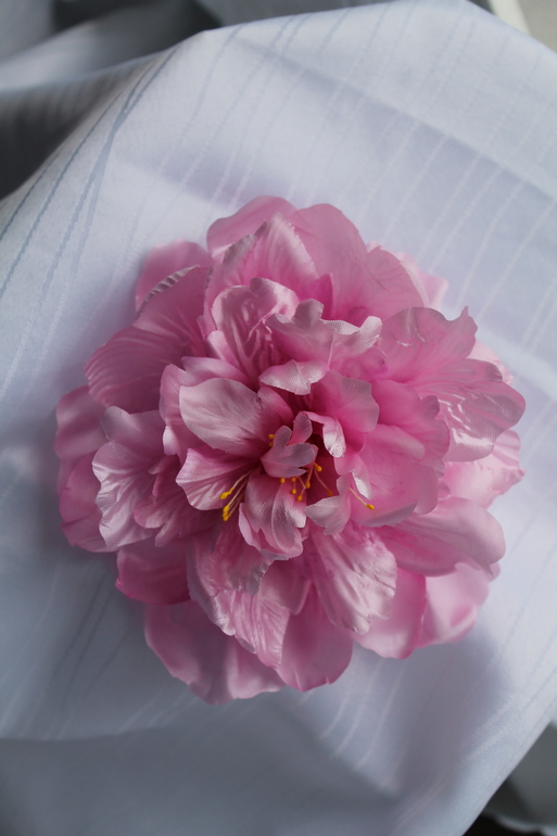 Пион - первенец