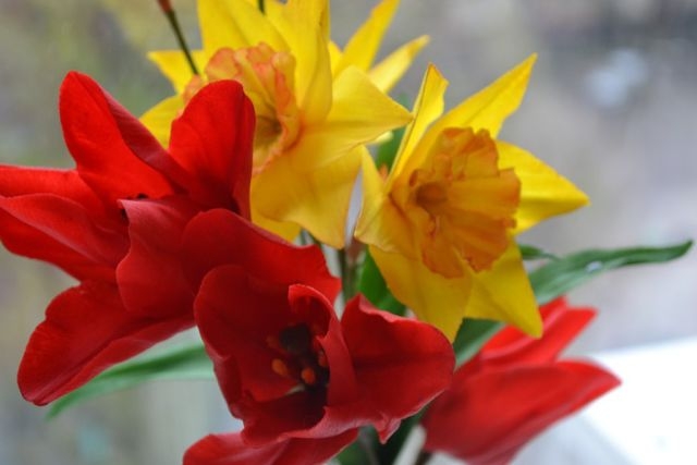 продолжение.....