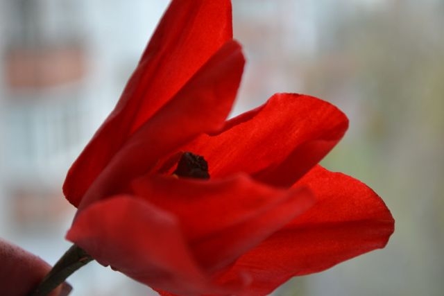 продолжение.....