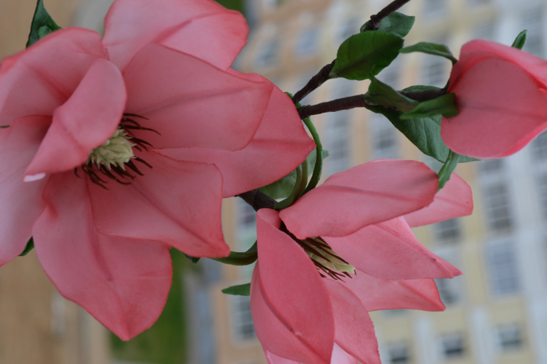 Магнолия......