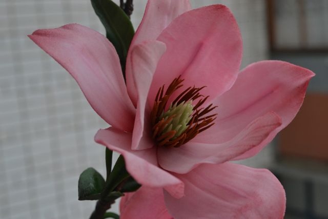 продолжение.....