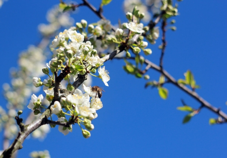 Очередные выходные на даче