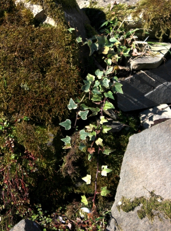 Очередные выходные на даче