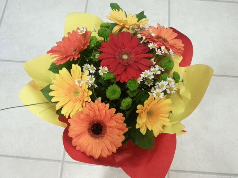 Сегодня 11 лет.....