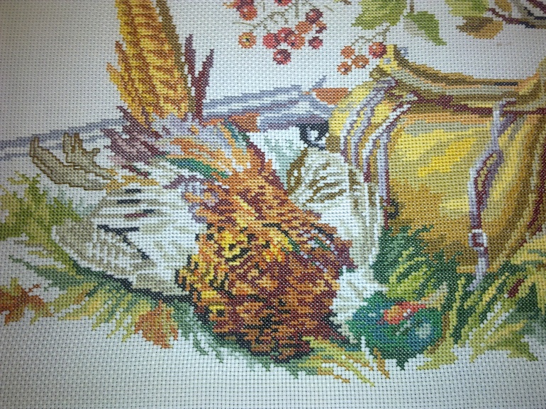 Охотничий сюжет с фазаном