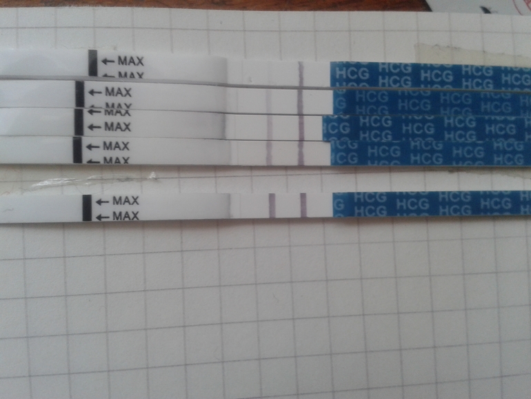 Мои тестики