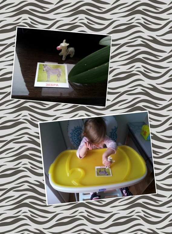 ТЗ" Какого цвета зебра?"