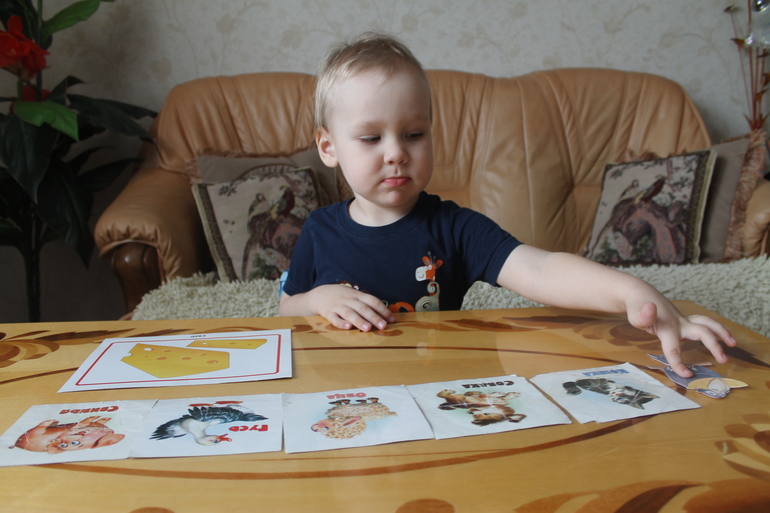 Тематическое занятие "СЫР"