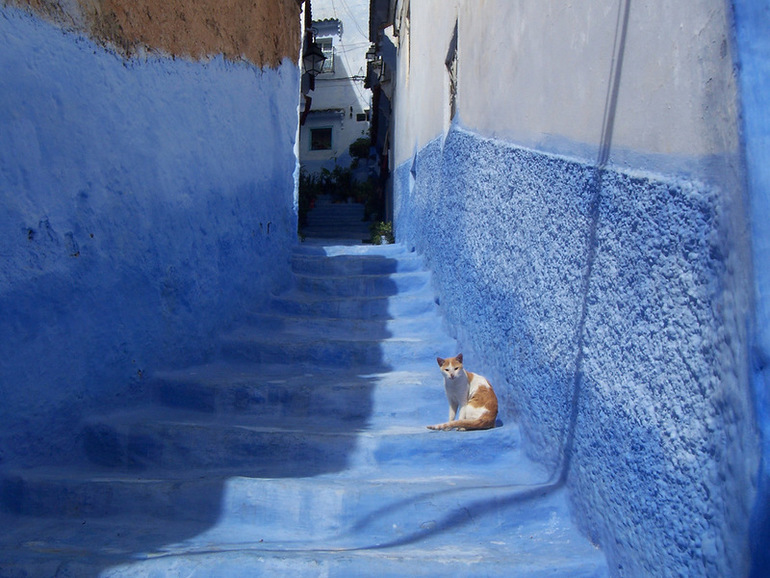 Синий город!