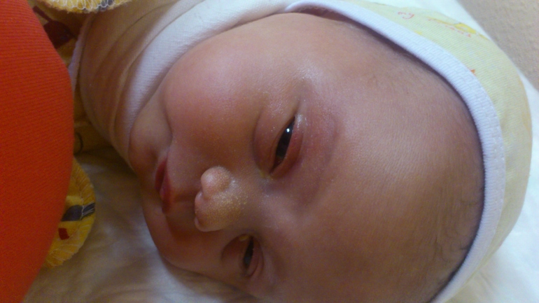 Как мы жили в роддоме