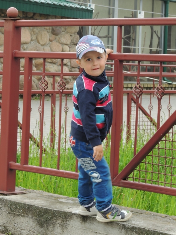 В Zoo :)