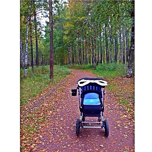 Моя Bugaboo Cameleon 3, плюсы и МИНУСЫ!