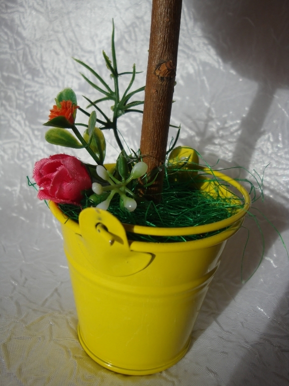 Новые кофейные деревца после долгого перерыва