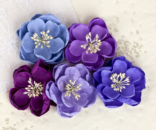 Вопрос по цветам Prima