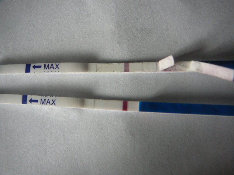 Помогите оценить тест