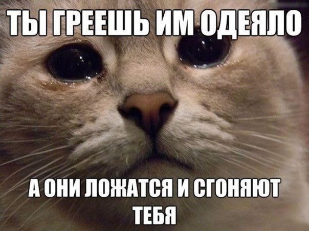 Улыбнуло)