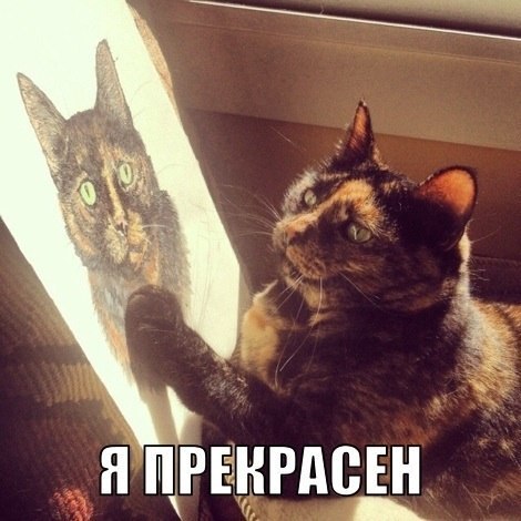 Улыбнуло)