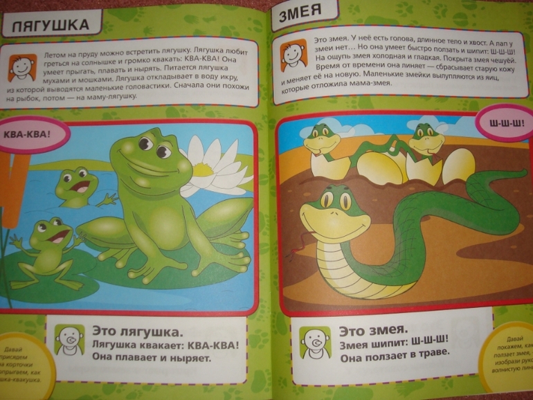 Новый ребенок. Гений с пеленок.