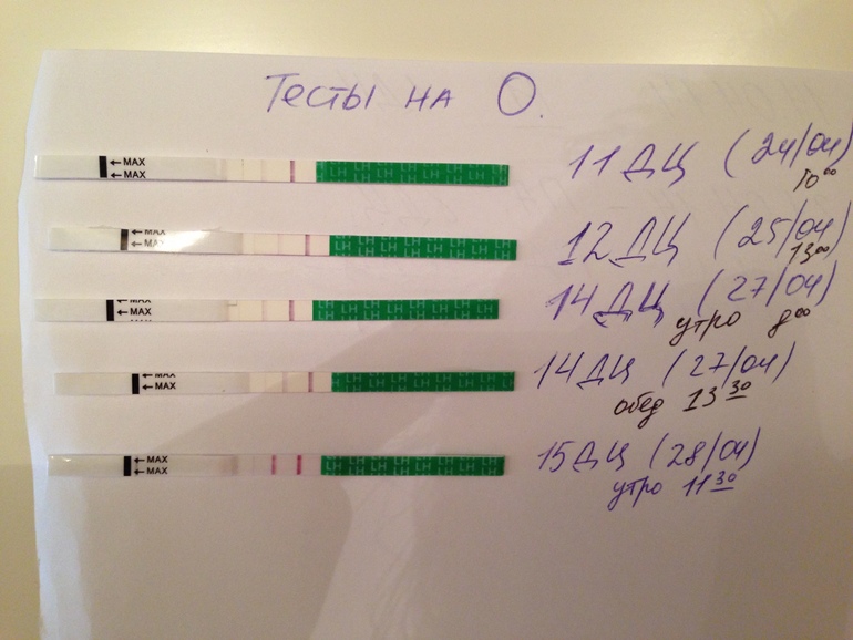 Девочки,это ОНА???