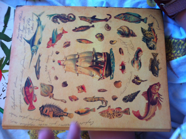 73, день 4 Начинаем КЖ и зонирование + бонус про мойку