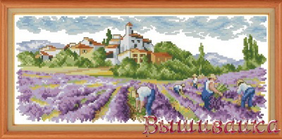 "Лавандовая нива"