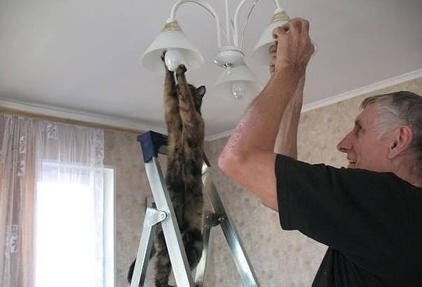 Милашки.