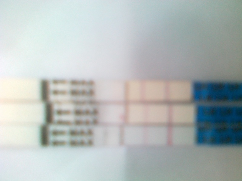 цикл 30 дней а О была на 17 дц ..неужели сместилась..