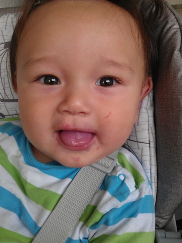 Раннее развитие - быть или не быть?