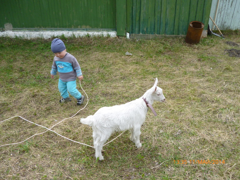 74/6 Хот-споты