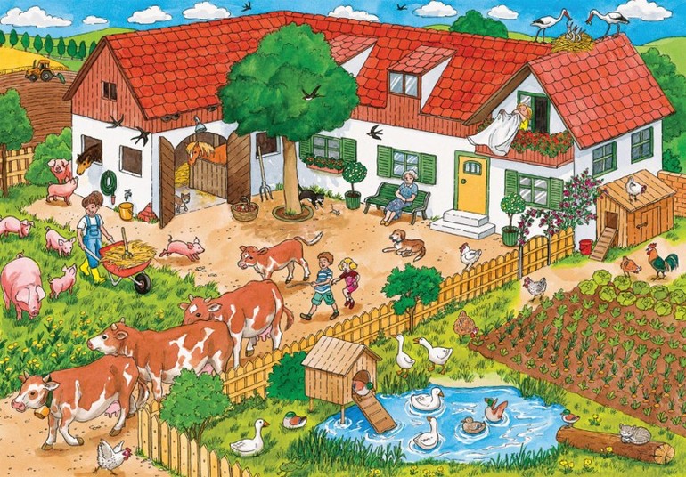 Новая партия картинок для рассматривания "Живтоные"