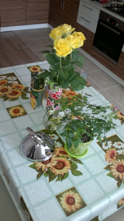 74 взлет. Диплом